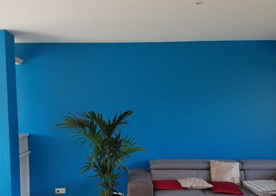 Peinture-acrylique-velours